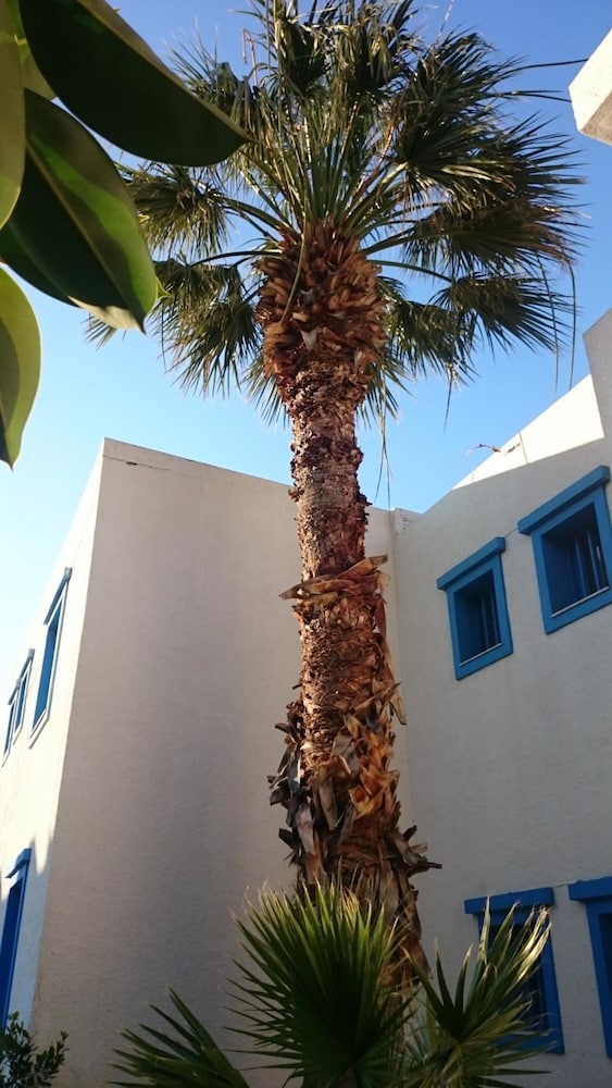 Amazones Villas Apartments — Hotel building in Stalida
