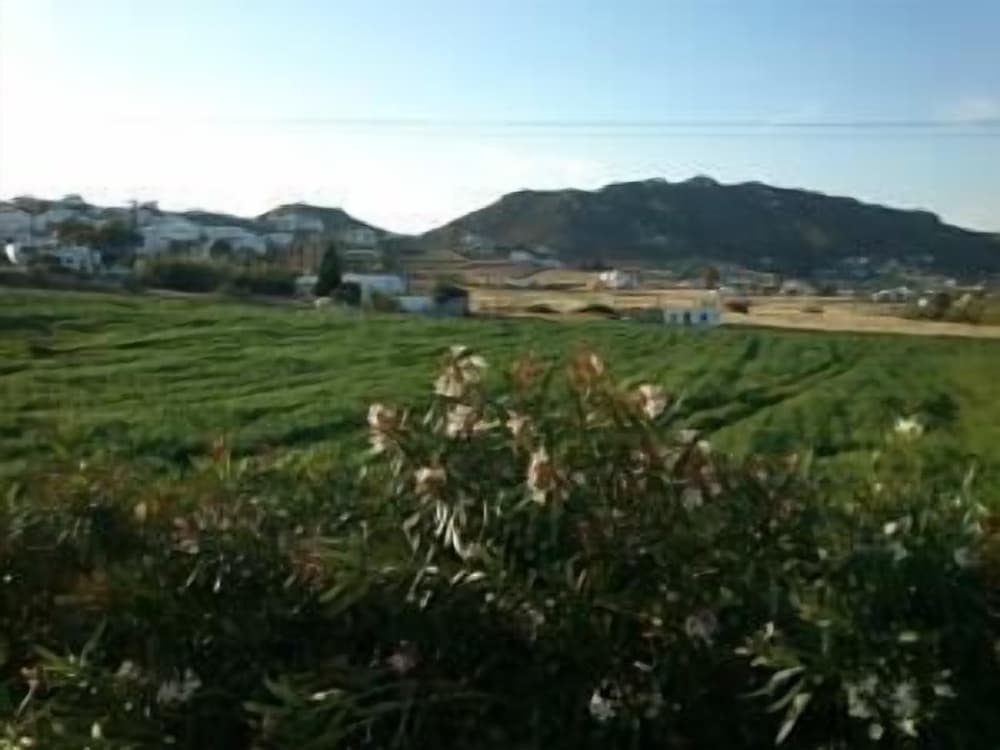 Anatolia Hotel — Attractions in the area in Ano Mera, South Aegean