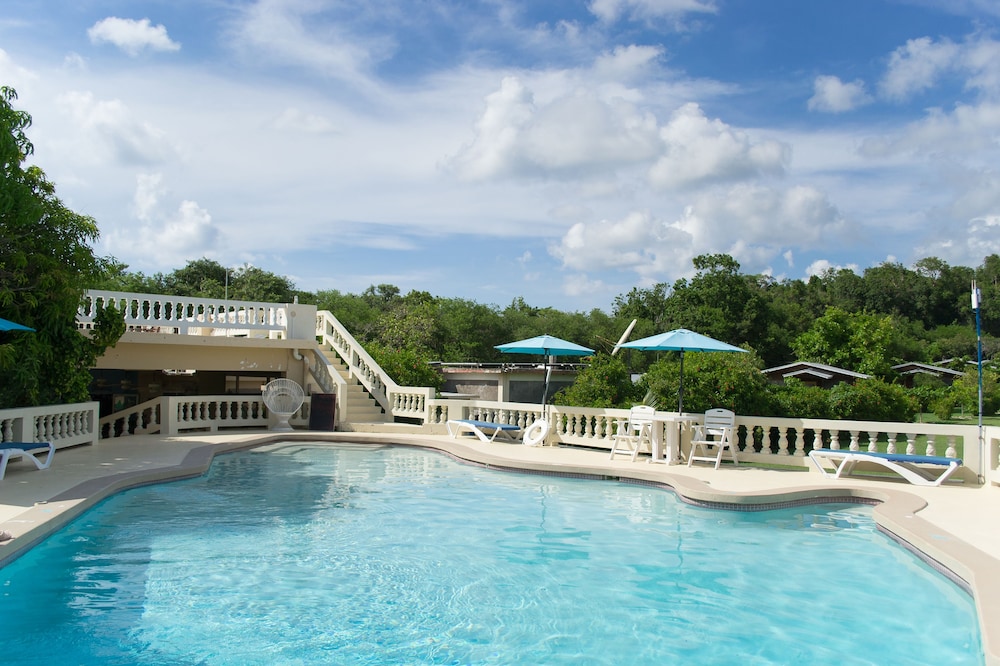The Westender Inn — Swimming pool in Negril