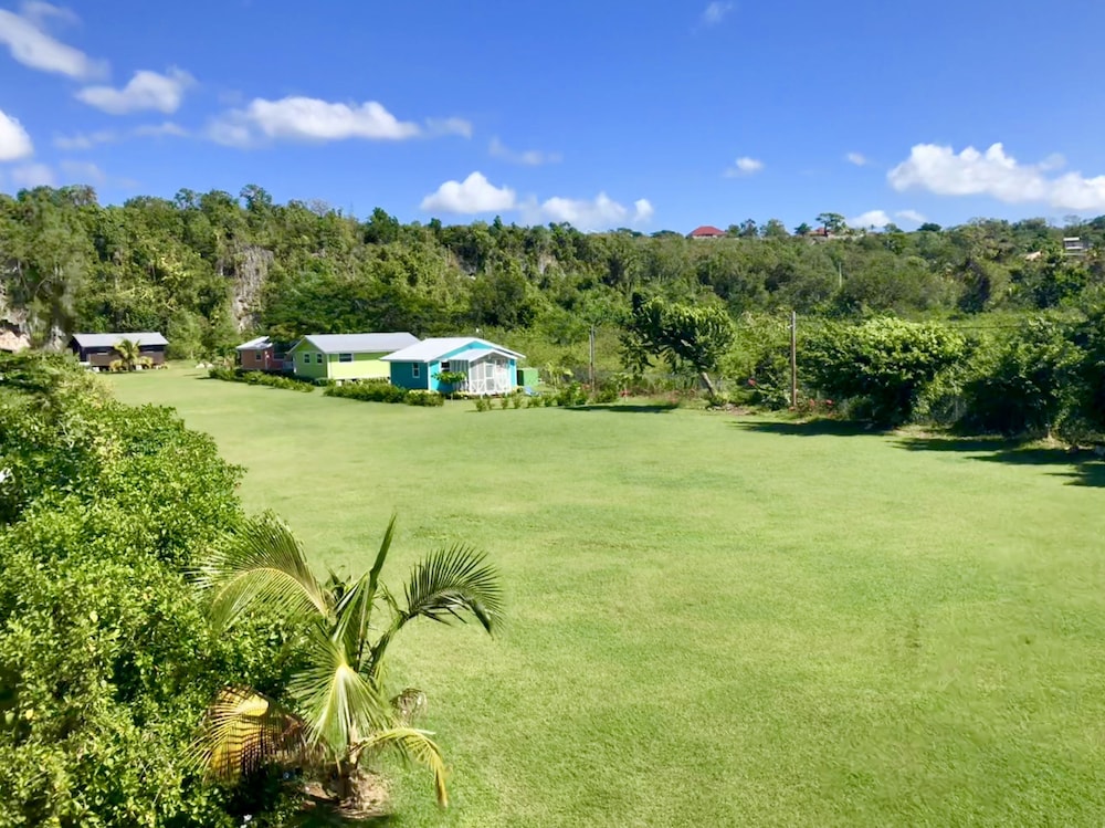 The Westender Inn — Attractions in the area in Negril