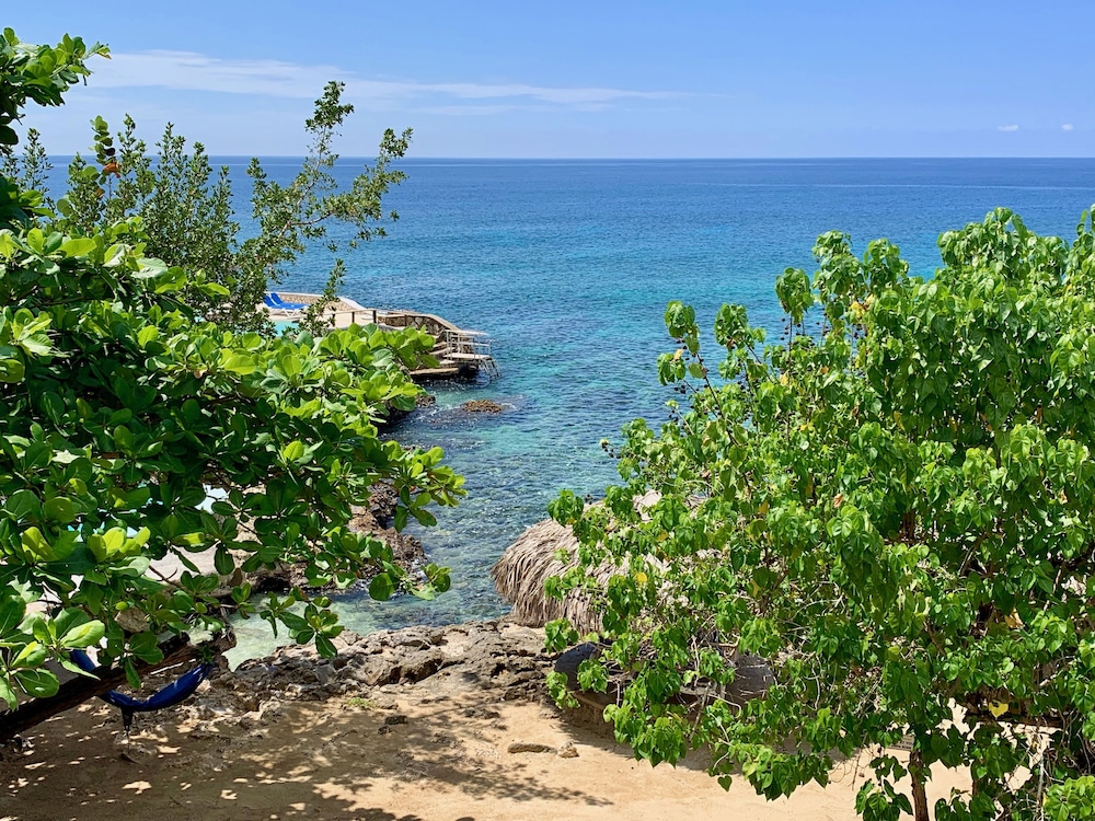 The Westender Inn — Attractions in the area in Negril