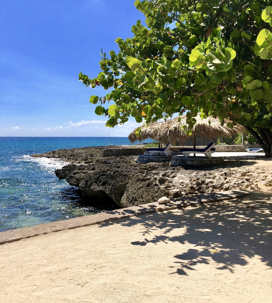 The Westender Inn — Beach in Negril