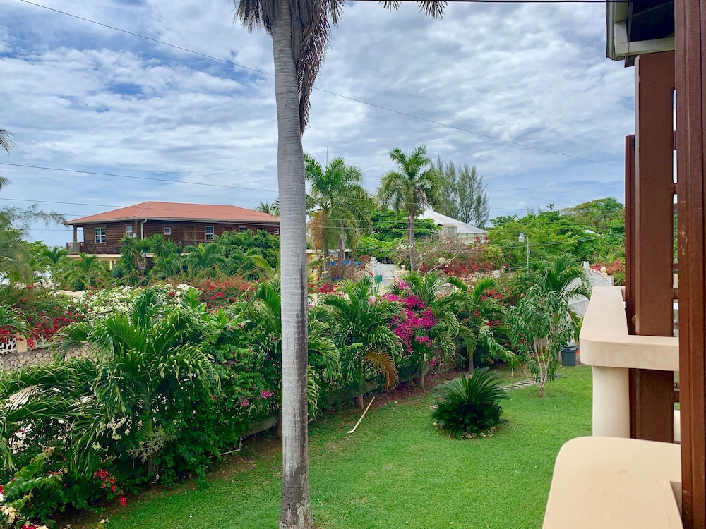 The Westender Inn — Attractions in the area in Negril