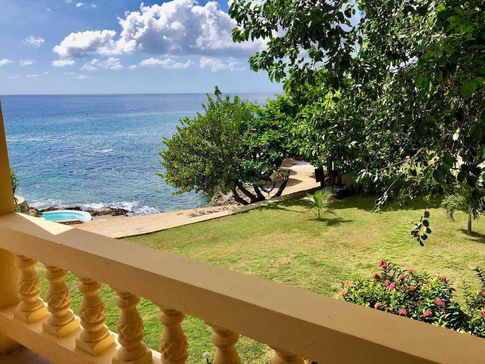 The Westender Inn — Swimming pool in Negril