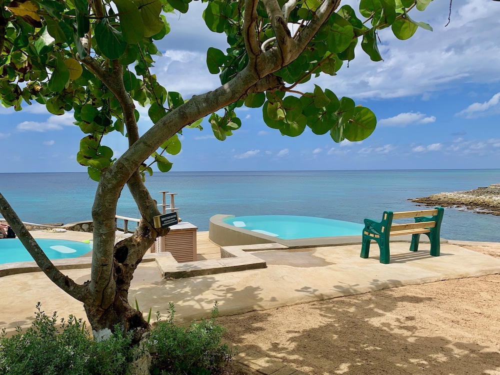 The Westender Inn — Swimming pool in Negril