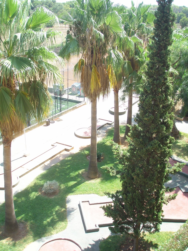 Hotel Don Miguel Playa — Sports & recreation in Playa de Palma, Balearic Islands