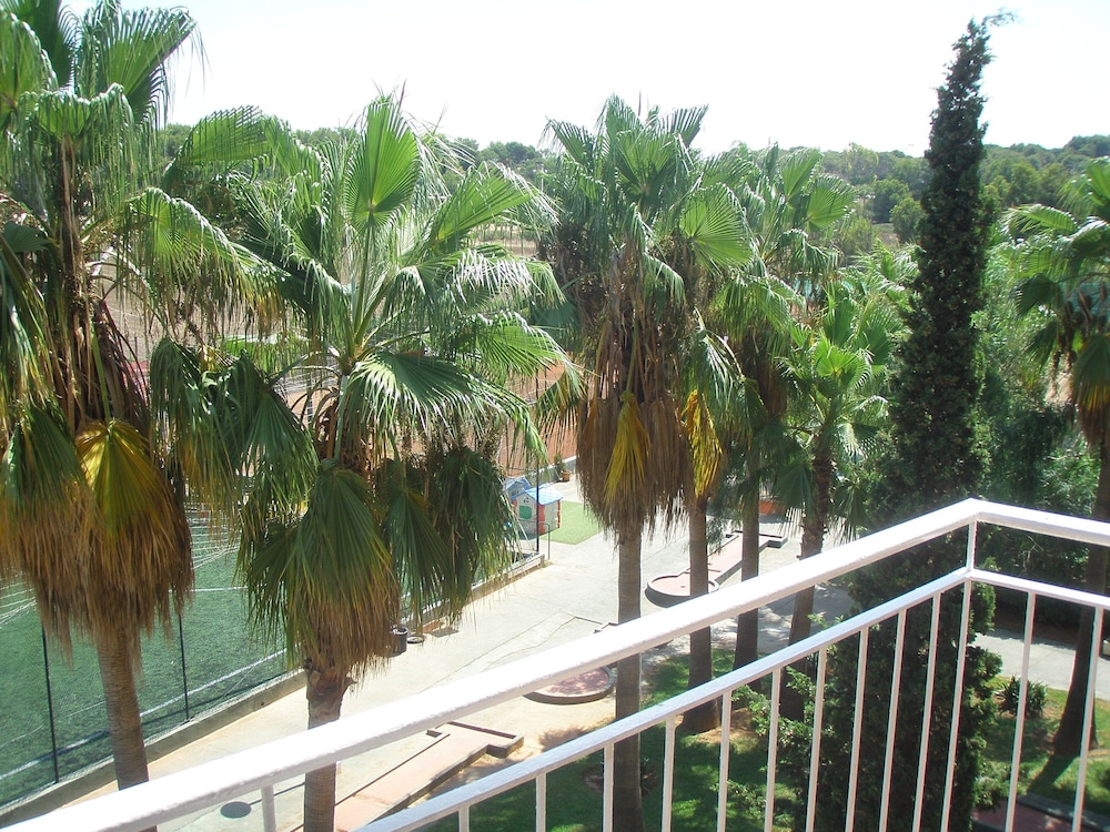 Hotel Don Miguel Playa — Sports & recreation in Playa de Palma, Balearic Islands