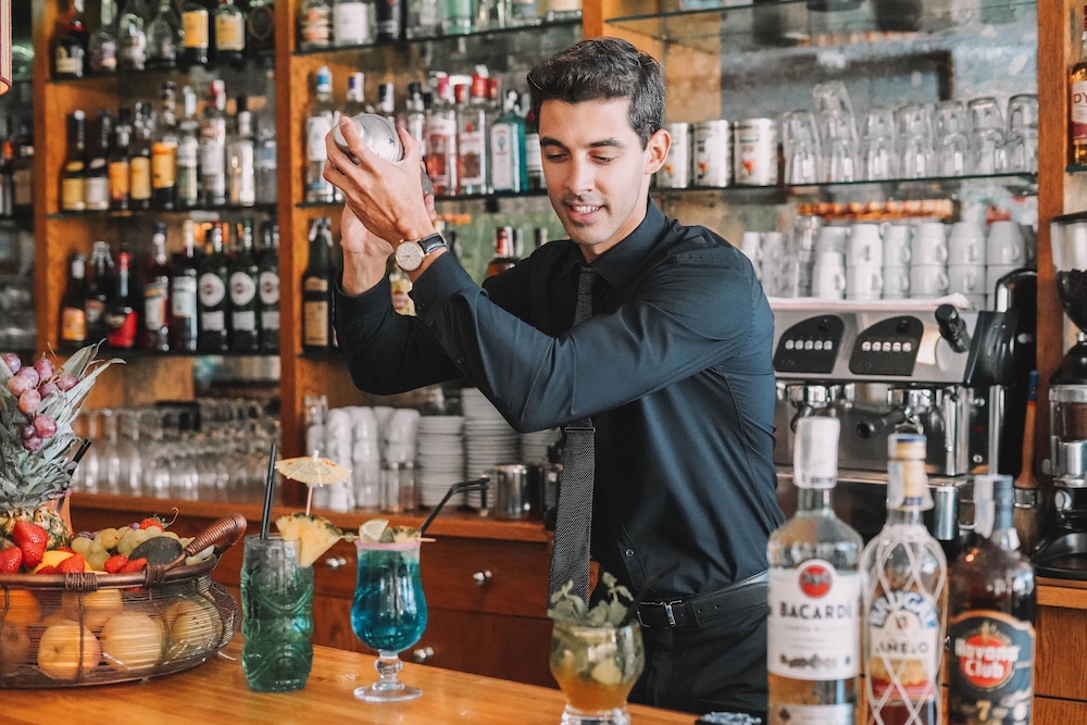 Alba Seleqtta — Restaurant & bars in Lloret de Mar, Catalonia