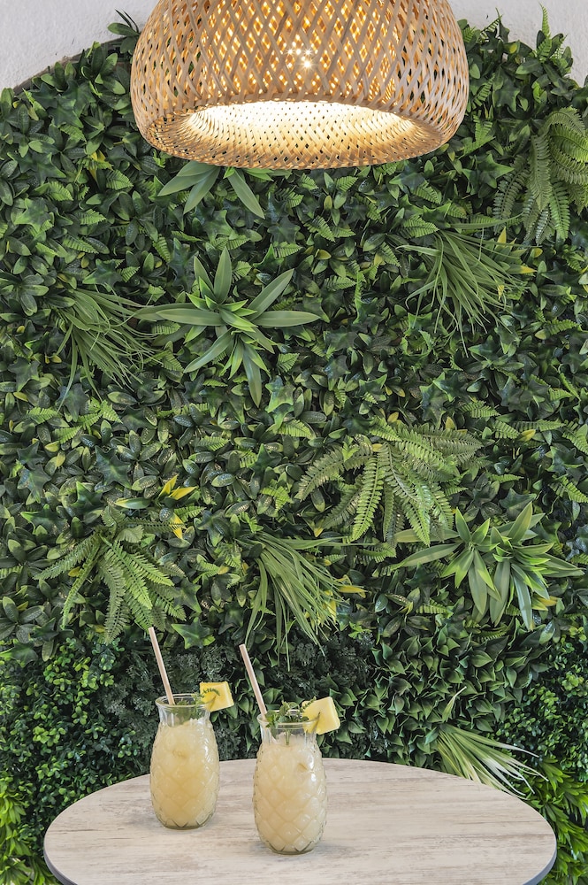 Hotel Lloret Santa Rosa by Pierre & Vacances — Restaurant & bars in Lloret de Mar, Catalonia