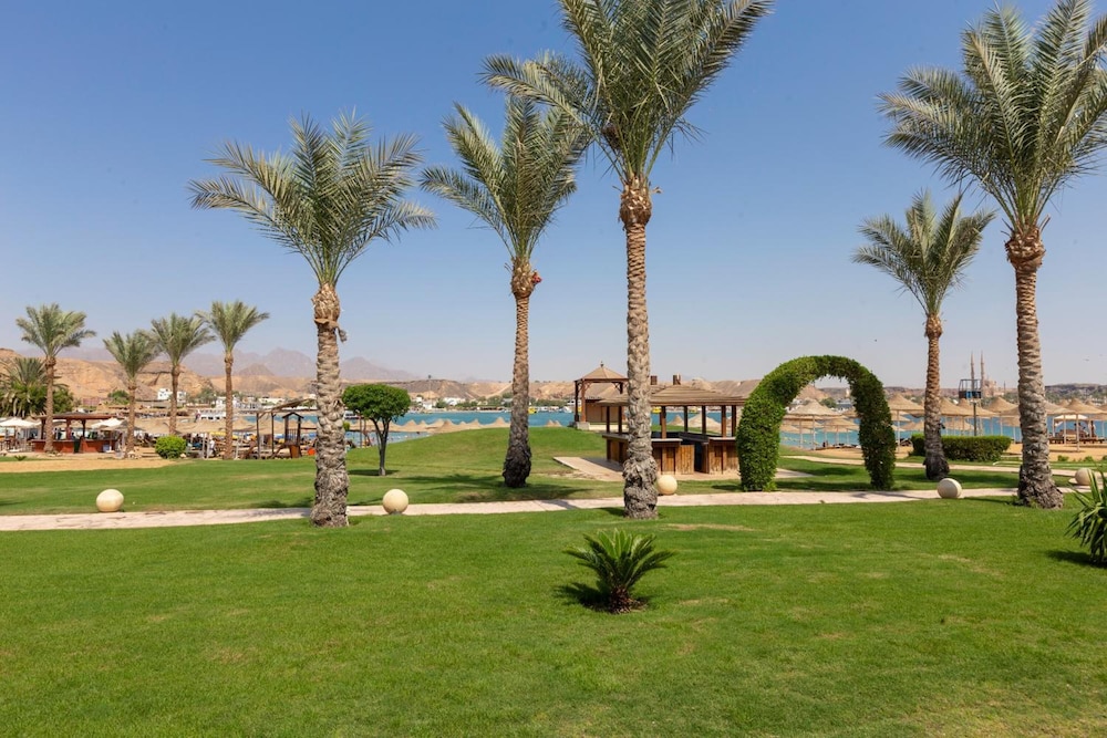 Xperience St. George Homestay — Beach in Sharm El Sheikh, Red Sea
