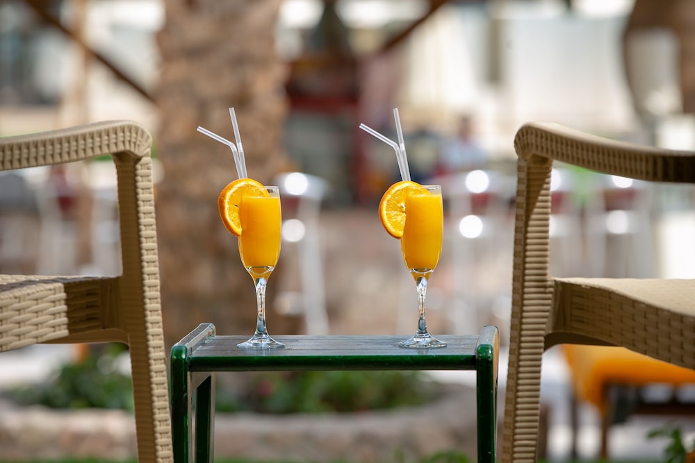 Xperience St. George Homestay — Restaurant & bars in Sharm El Sheikh, Red Sea