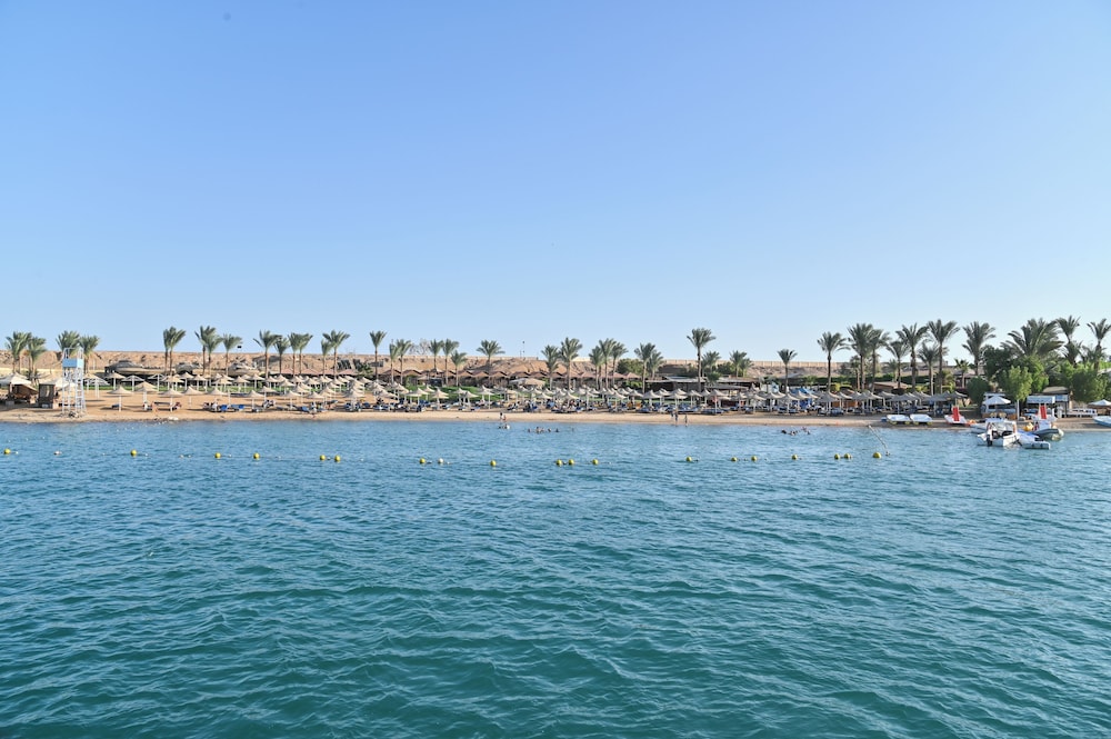 Xperience St. George Homestay — Beach in Sharm El Sheikh, Red Sea