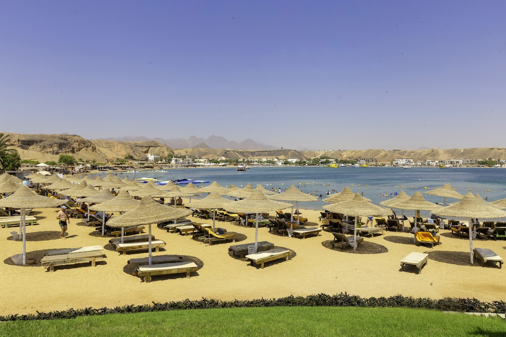 Xperience St. George Homestay — Beach in Sharm El Sheikh, Red Sea