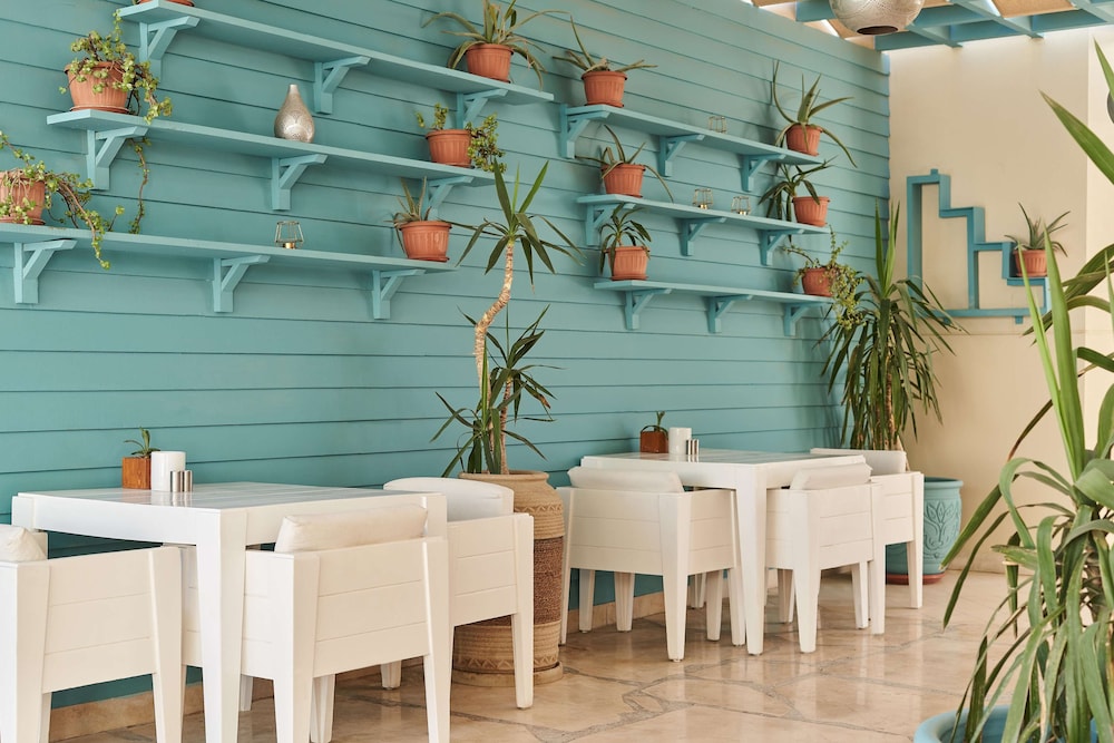Mosaique Hotel - El Gouna — Restaurant & bars in El Gouna, Red Sea