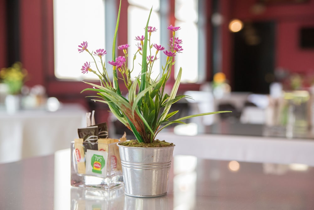 Ona Marbella Inn — Restaurant & bars in Marbella, Andalusia