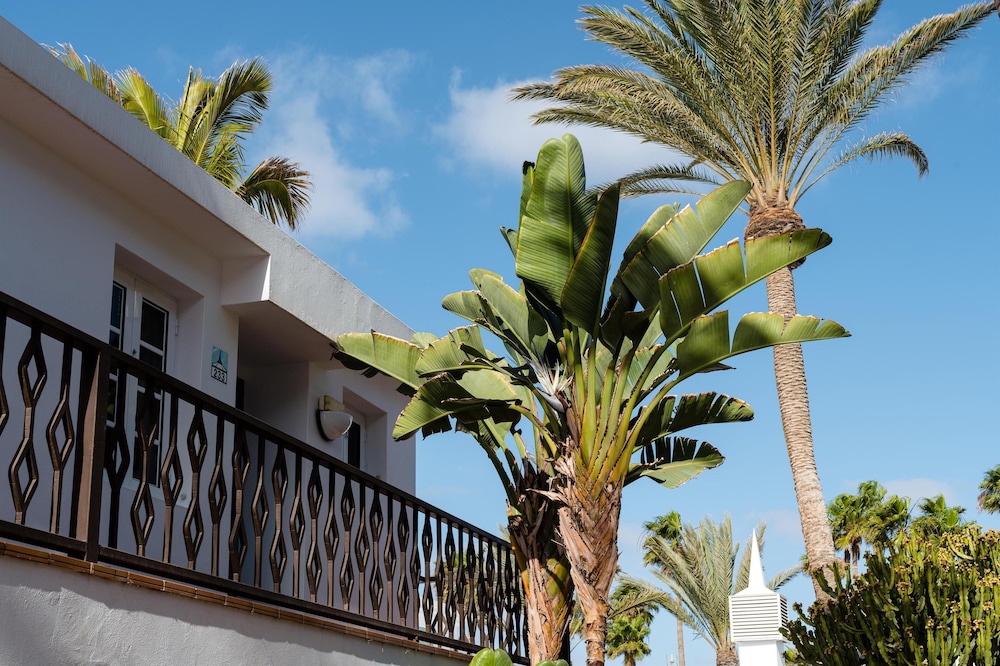 Plus Fariones Apartamentos — Hotel building in Puerto del Carmen, Canary Islands