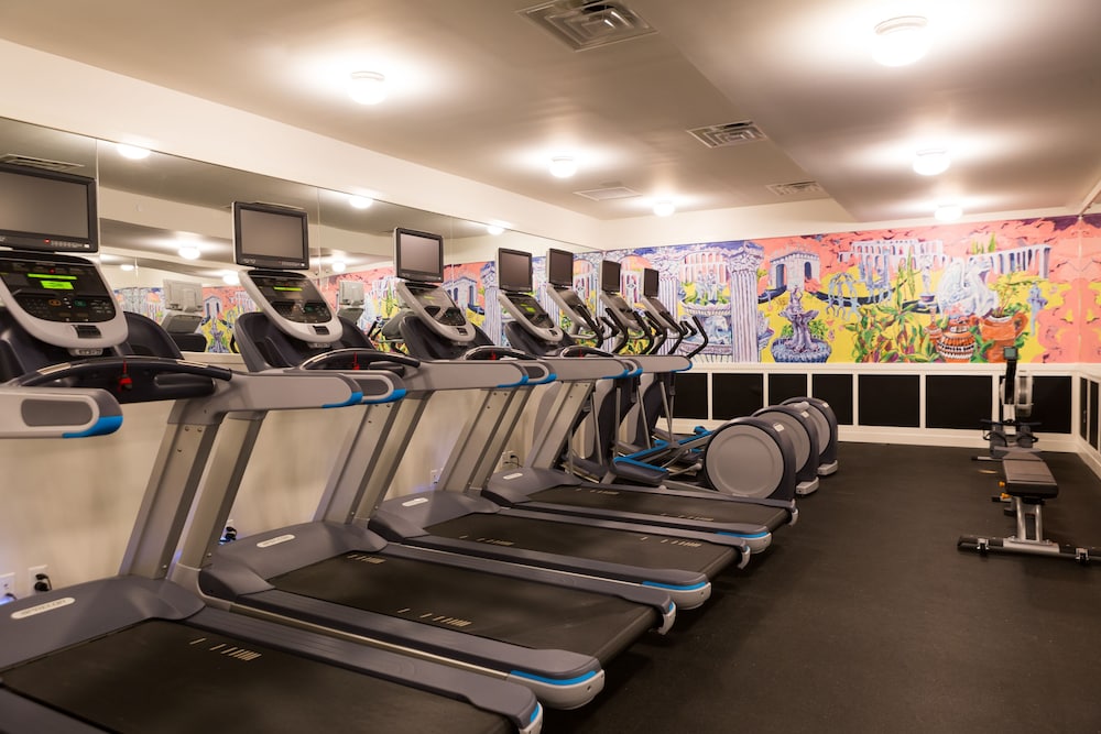 Freehand New York — Sports & recreation in New York City, New York State