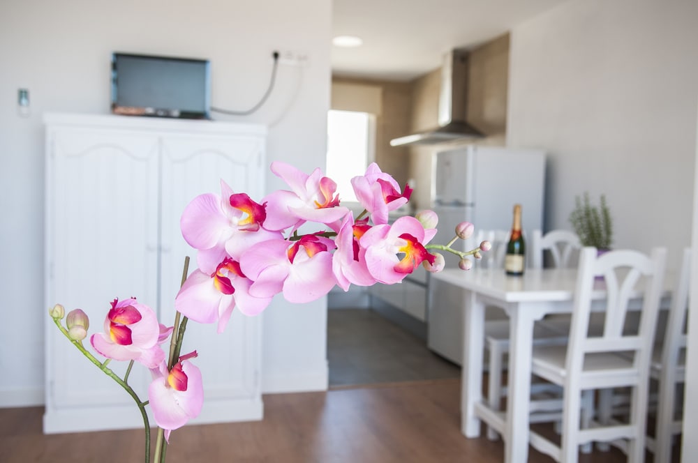Naranjos Resort Menorca — Hotel rooms in S'Algar, Balearic Islands