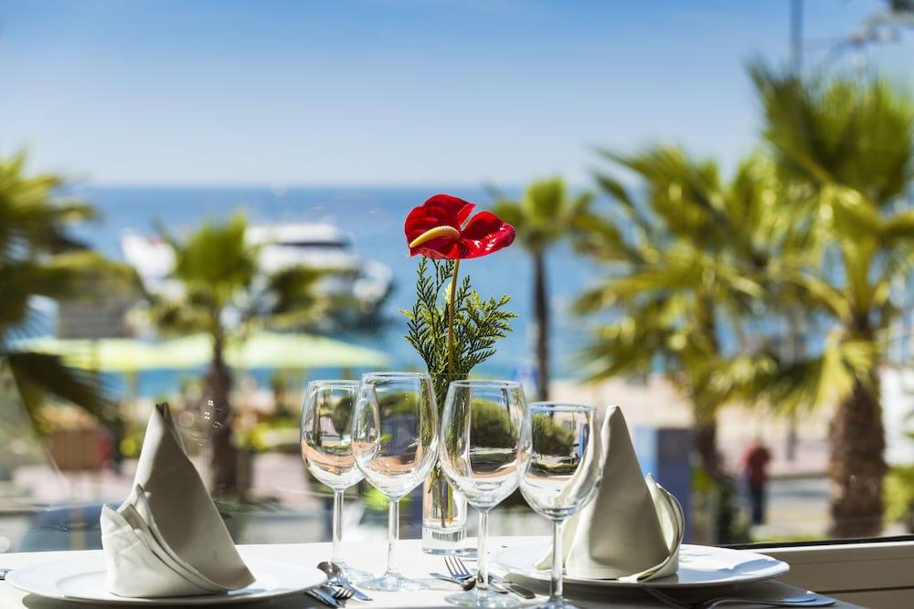 Hotel Marsol — Restaurant & bars in Lloret de Mar, Catalonia