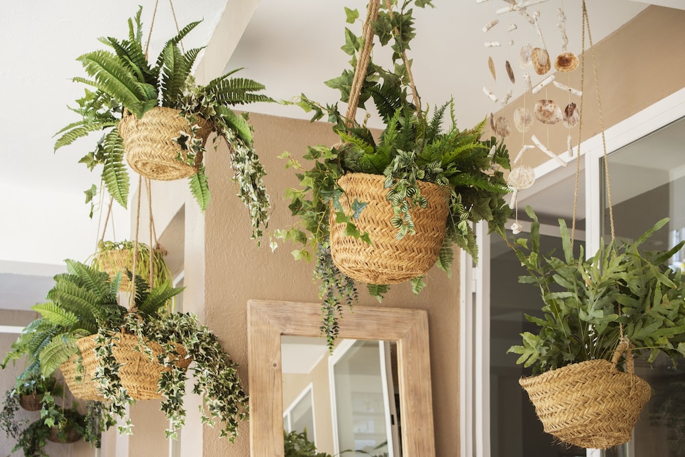 The 15th Boutique Hotel — Hotel rooms in Lloret de Mar, Catalonia