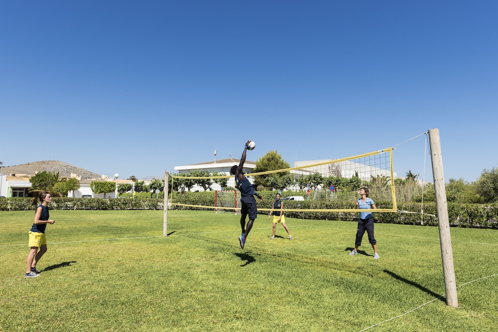 Palm Garden Apartments — Sports & recreation in Alcudia, Balearic Islands