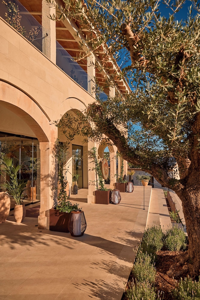 Purobeach Resort Santa Ponsa - New Opening — Outdoor in Santa Ponca, Balearic Islands