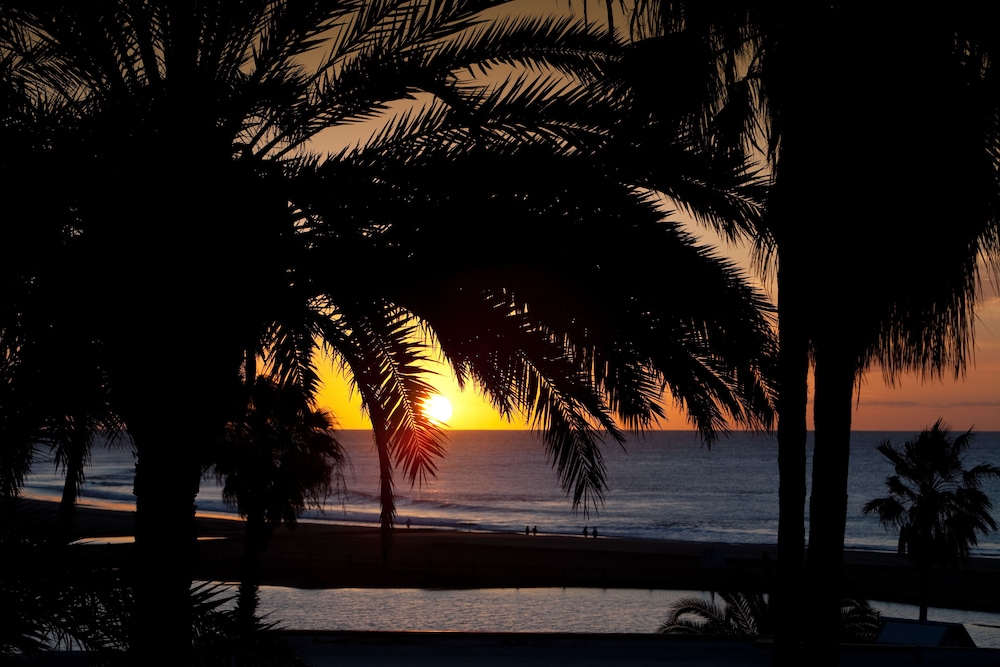 Seaside Palm Beach — Beach in Meloneras, Canary Islands