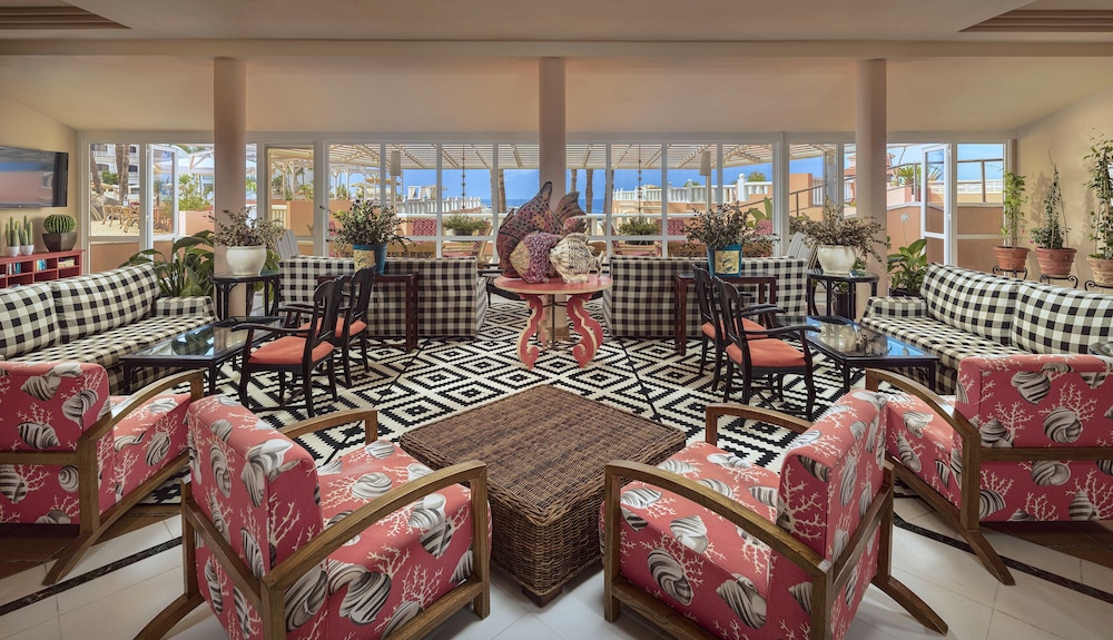 Sol Sun Beach Apartamentos — Restaurant & bars in Costa Adeje, Canary Islands