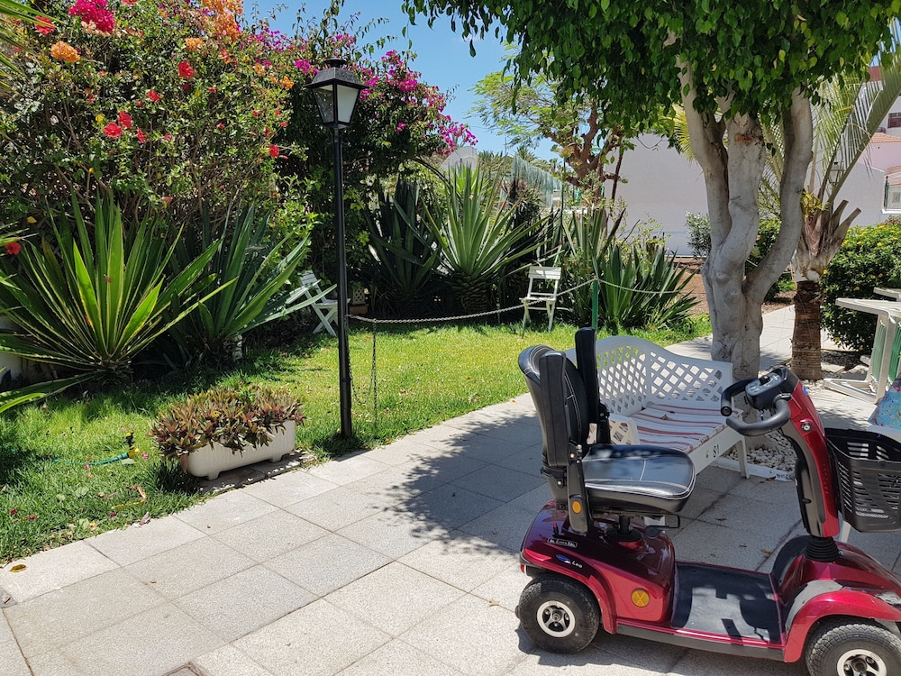 Apartamentos Tinerfe Garden — Attractions in the area in Costa Adeje, Canary Islands