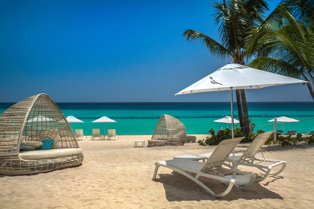 Catalonia Royal La Romana - All Inclusive - Adults Only — Beach in Bayahibe, La Altagracia