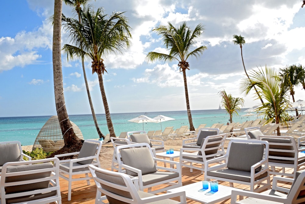 Catalonia Royal La Romana - All Inclusive - Adults Only — Beach in Bayahibe, La Altagracia