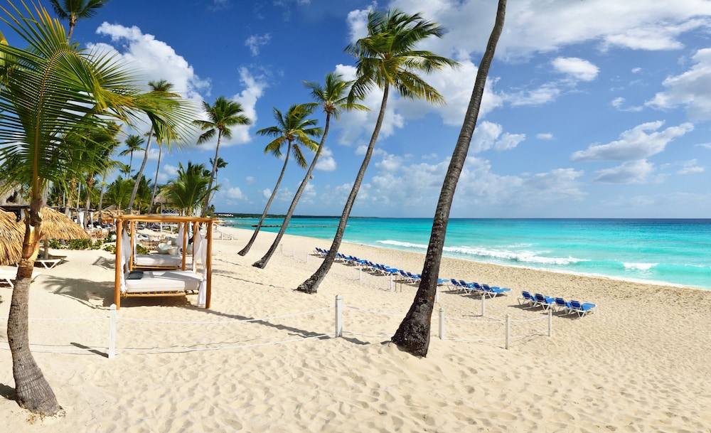 Catalonia Royal La Romana - All Inclusive - Adults Only — Beach in Bayahibe, La Altagracia