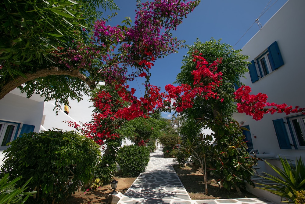 Acrogiali Beachfront Hotel — Hotel building in Plati Gialos, South Aegean