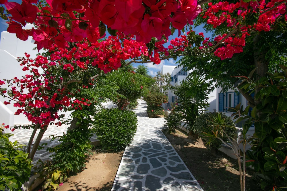 Acrogiali Beachfront Hotel — Hotel building in Plati Gialos, South Aegean