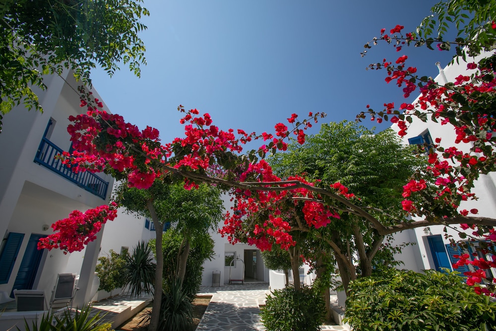 Acrogiali Beachfront Hotel — Hotel building in Plati Gialos, South Aegean