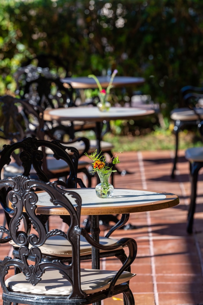 Halepa Hotel — Restaurant & bars in Chania