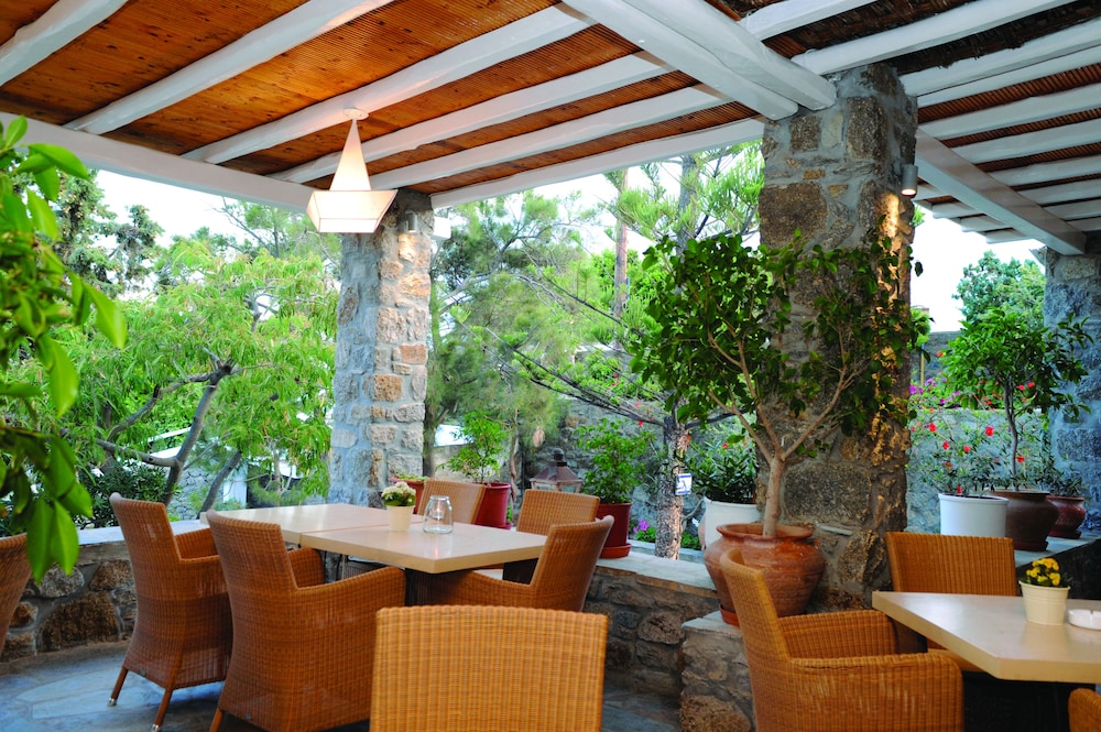 Kamari Hotel — Restaurant & bars in Plati Gialos, South Aegean
