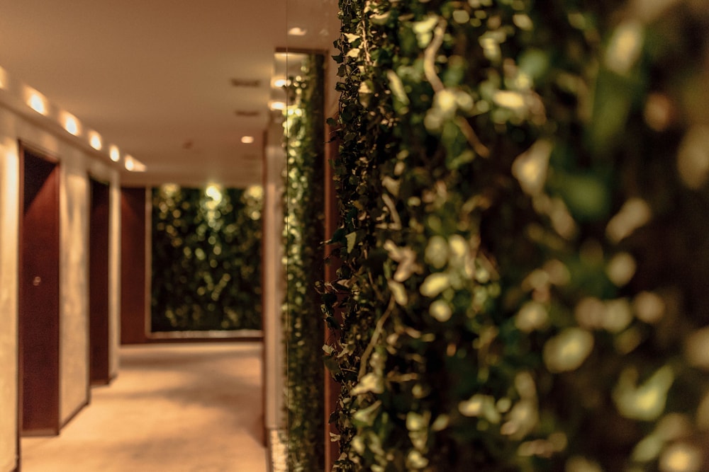 Graffit Gallery Design Hotel — Hotel building in Varna, Varna Region