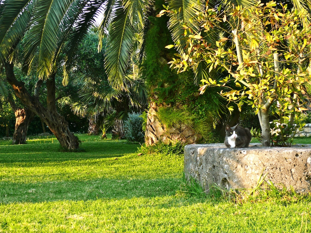 Nefeli Hotel — Attractions in the area in Gouvia, Ionian Islands