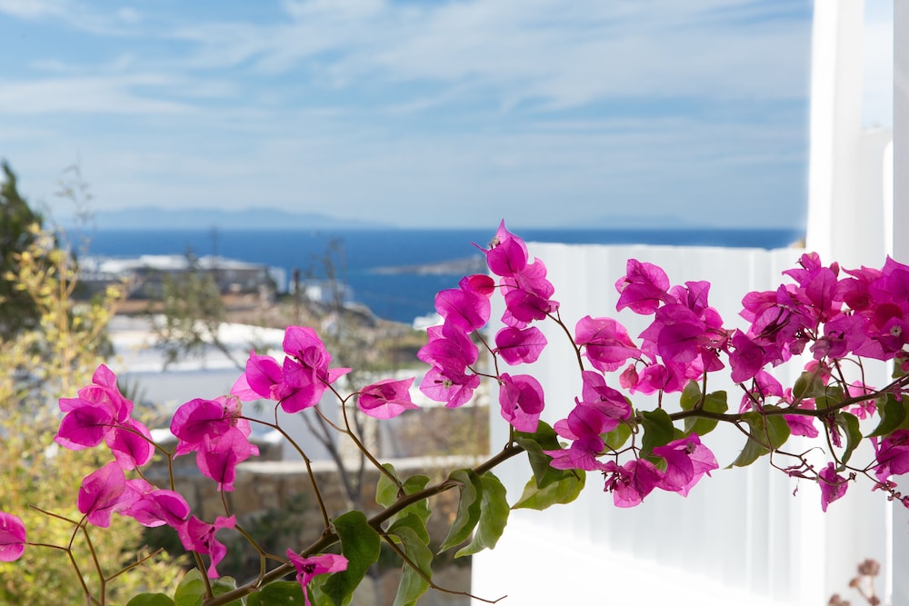 Ostraco Suites — Attractions in the area in Mykonos Town, South Aegean