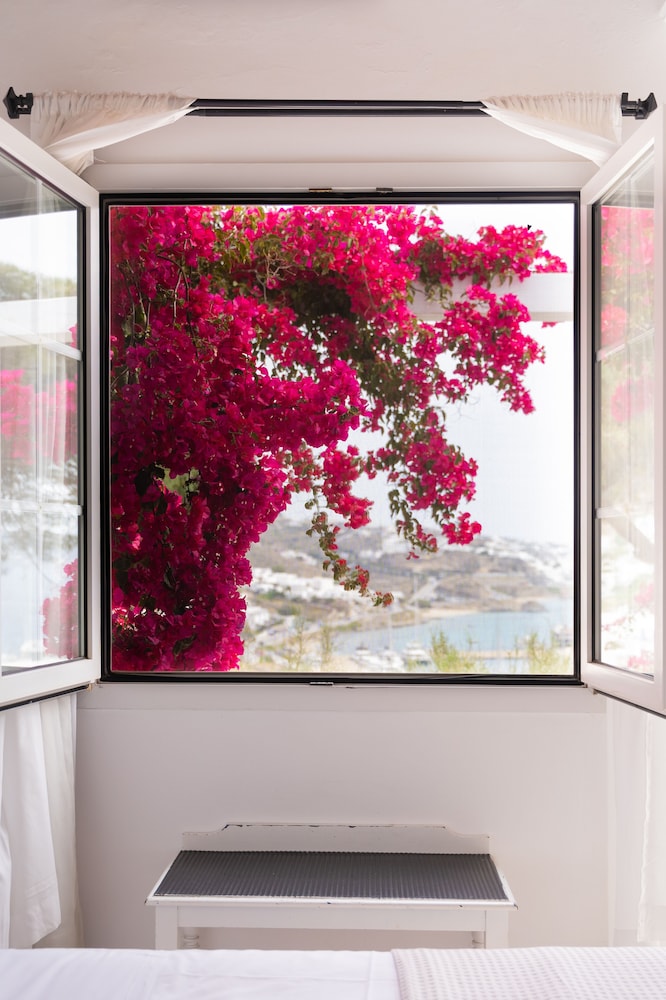 Rhenia Mykonos Hotel & Bungalows — Hotel rooms in Tourlos, South Aegean