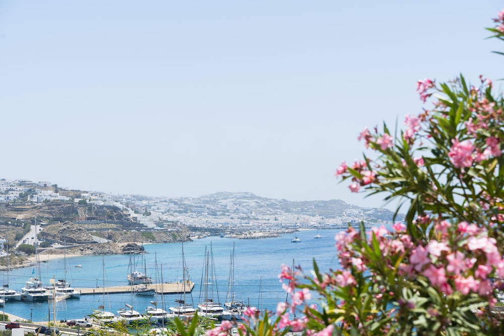 Rhenia Mykonos Hotel & Bungalows — Attractions in the area in Tourlos, South Aegean