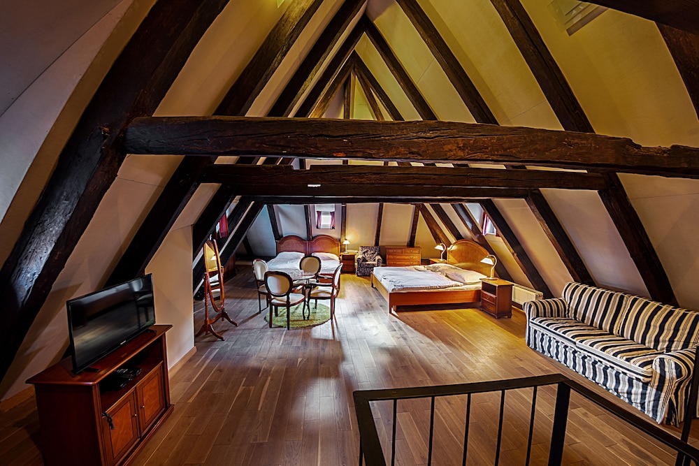 Hotel & Residence U Tri Bubnu — Hotel rooms in Prague, Prague