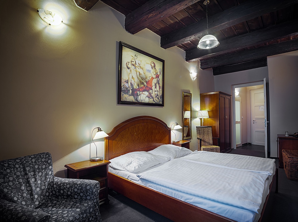 Hotel & Residence U Tri Bubnu — Hotel rooms in Prague, Prague