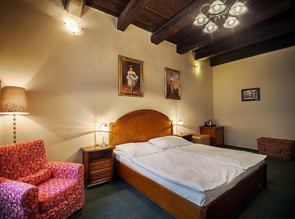 Hotel & Residence U Tri Bubnu — Hotel rooms in Prague, Prague