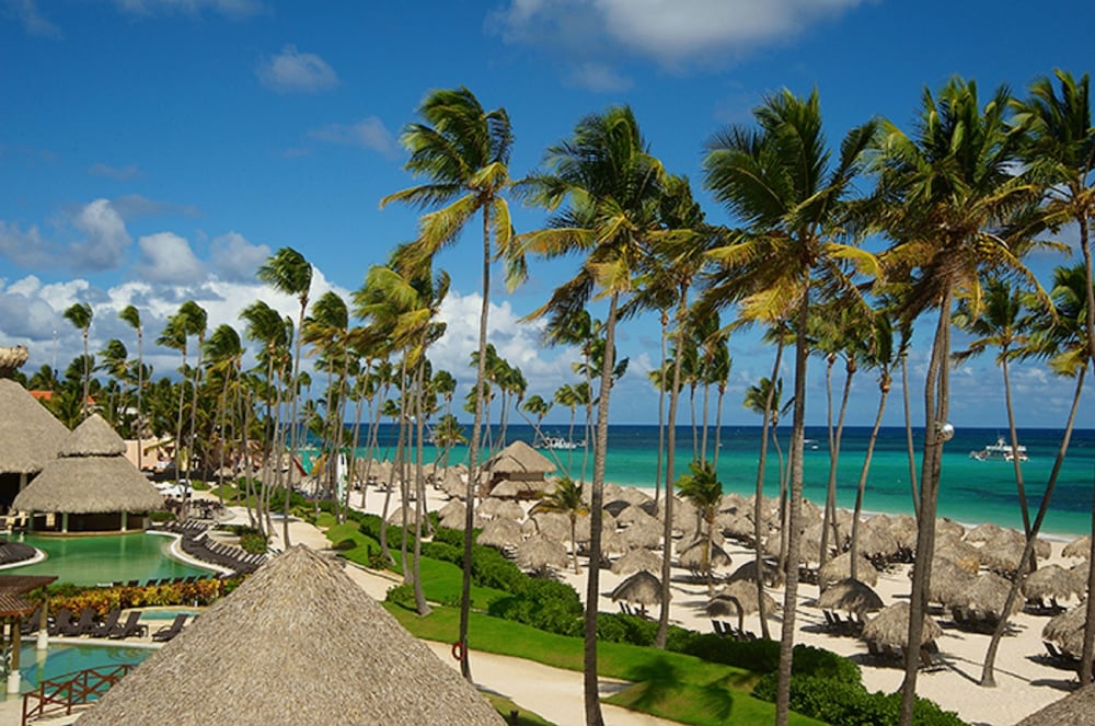 Dreams Royal Beach Punta Cana - All Inclusive — Beach in Bavaro, La Altagracia