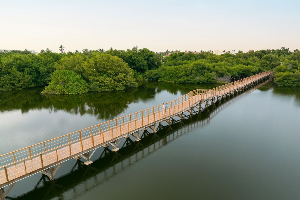 Dreams Royal Beach Punta Cana - All Inclusive — Attractions in the area in Bavaro, La Altagracia