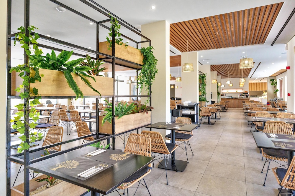 White Olive Elite Laganas - All Inclusive — Restaurant & bars in Laganas, Ionian Islands