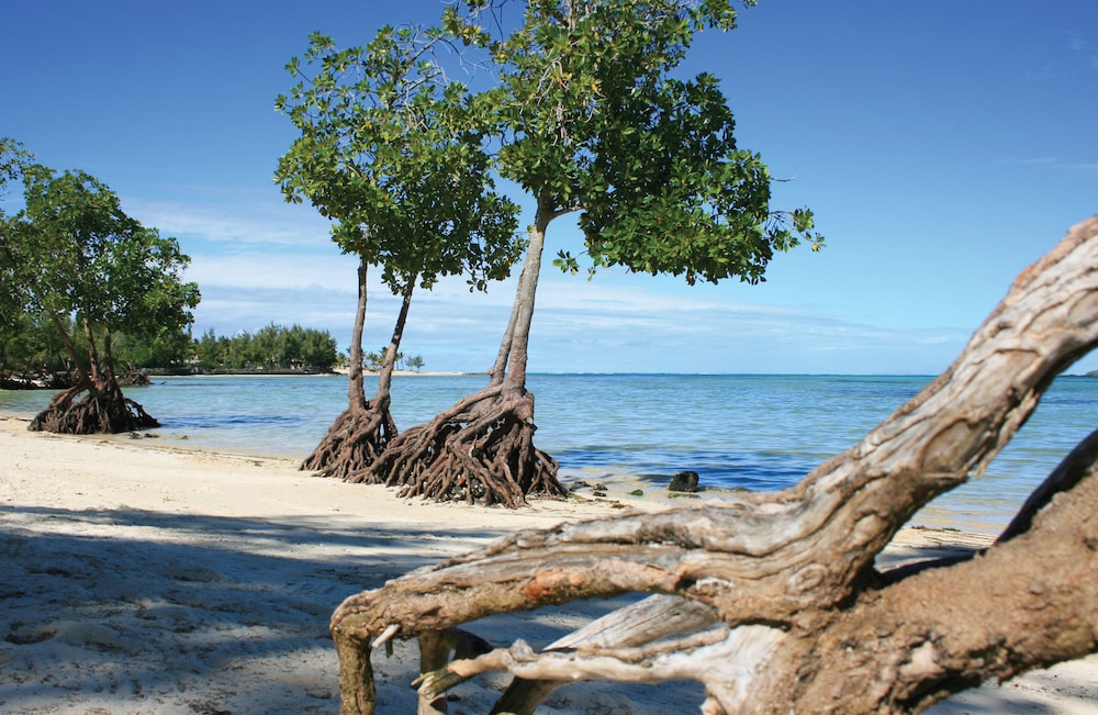 Jalsa Beach Hotel & Spa — Beach in Poste de Flacq, Flacq