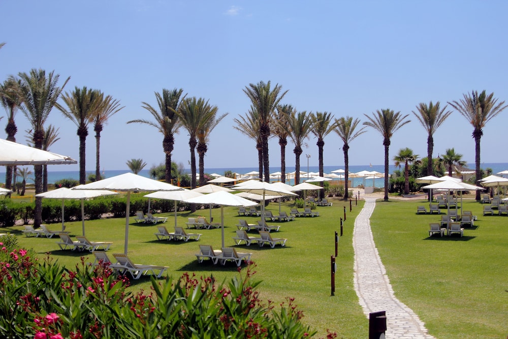 CALIMERA Delfino Beach Resort & Spa - All inclusive — Beach in Hammamet, Nabeul